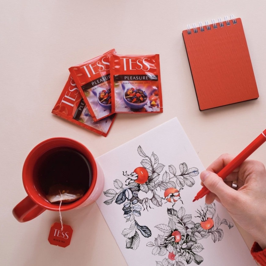 Trà hoa quả TESS PLEASURE/ FLAME/ EARL GREY