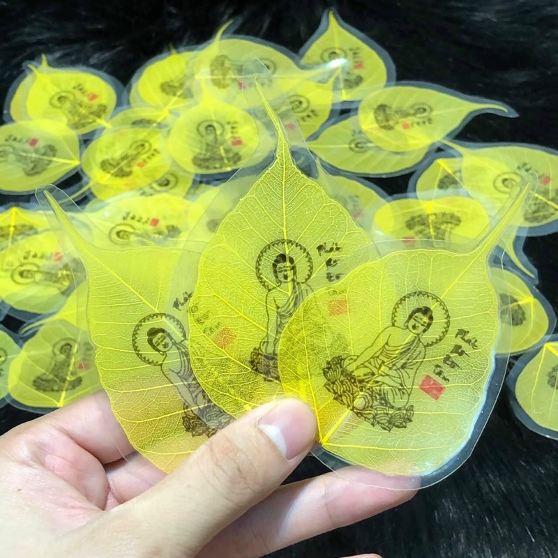 Combo 100 lá bồ đề không có bao