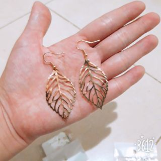 sản phẩm lựa live