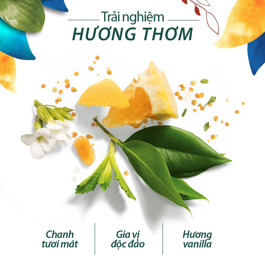 Bộ Gội Xả Herbal Essences Tinh Dầu Argan Morocco 400ml/ chai