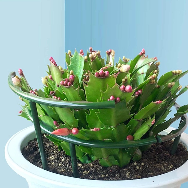 Giá Đỡ Cố Định Cây Bonsai Hình Chữ T 16/27Cm Tiện Dụng Cho Sân Vườn