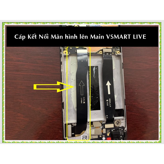 Cáp kết nối màn hình lên main VSMART LIVE/V620A