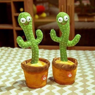 Cây xương rồng nhảy múa