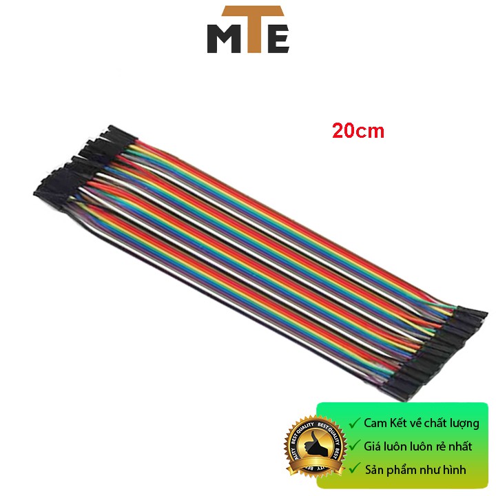 Dây cắm board test cái cái 20 cm (40 sợi)