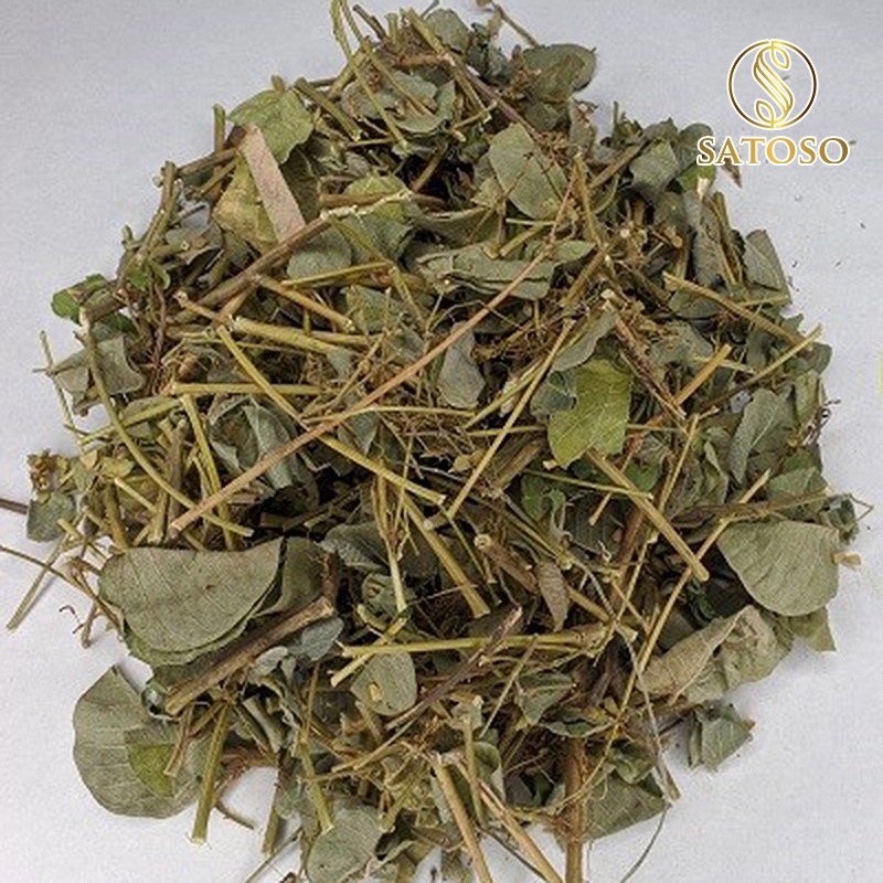 Kim tiền thảo thượng hạng tốt cho thận SATOSO 1kg SA48