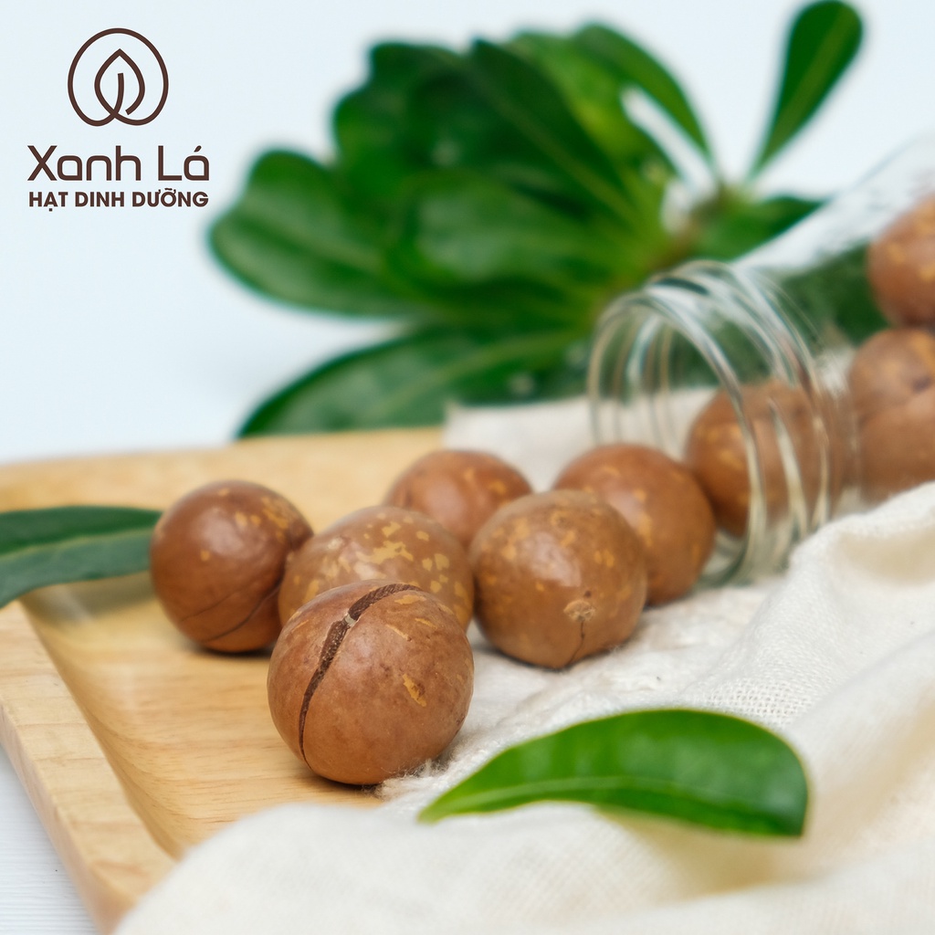 Hạt Macca SẠCH Đăk Lăk sấy nứt vỏ LOẠI 1 VỤ MỚI hàng công ty đạt VSATTP Xanh Lá