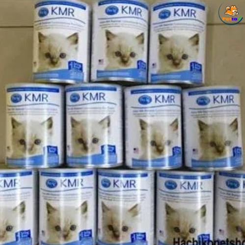 Sữa KMR cho mèo con thay thế sữa mẹ lon 340gr