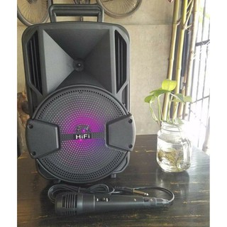 LOA 2 TẤC THÙNG NHỰA HÁT KARAOKIE  MINI TẶNG KÈM MIC DÂY BT-08