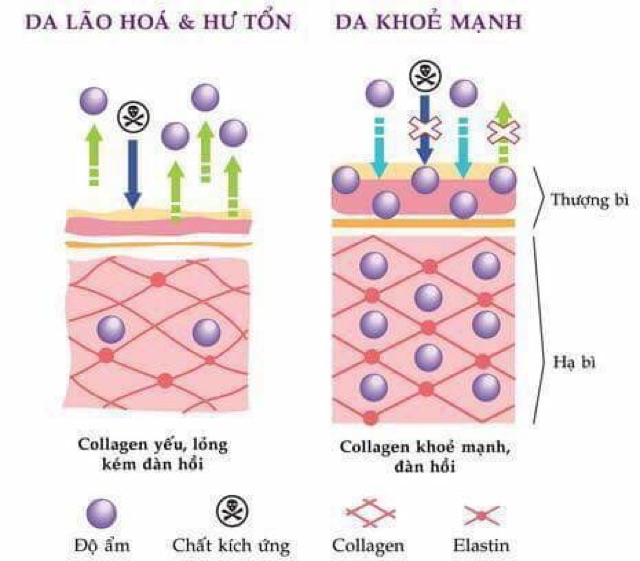 Kem dưỡng da mặt Mother and care