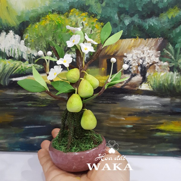 Bonsai Mini-  Cây Bười Mini 01