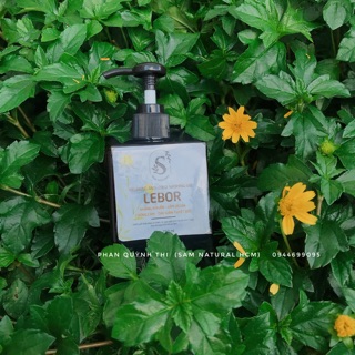 Combo Dầu gội sữa tắm Sam Natural