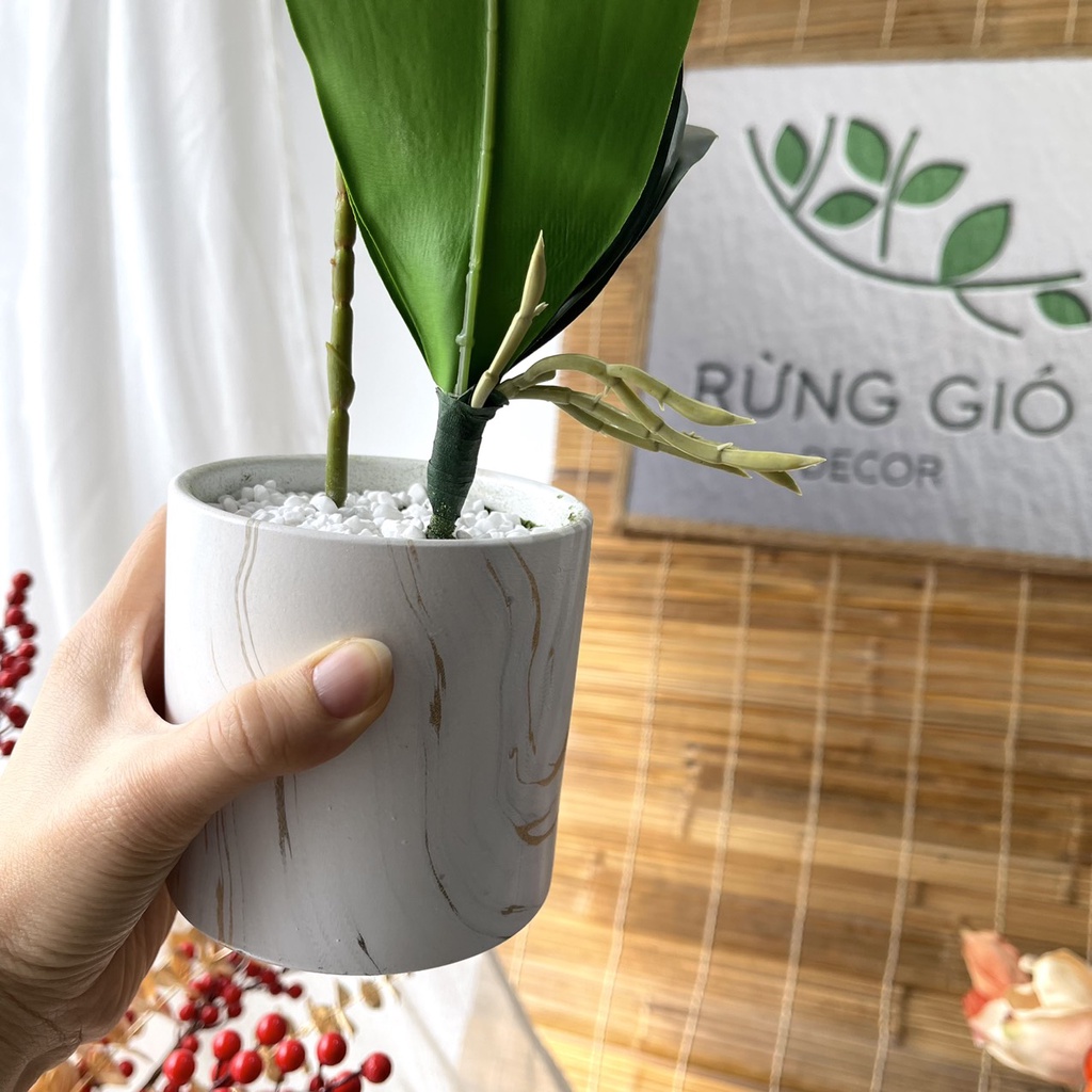 Set chậu Lan Hồ Điệp , hoa lan cao su nhân tạo cao cấp mã Set14