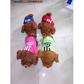CHÓ BIẾT HÁT 26 bai
