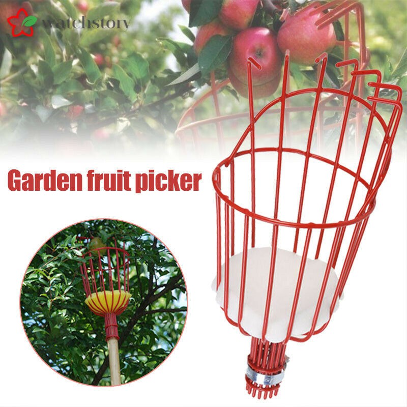 Lồng hái trái cây tiện lợi