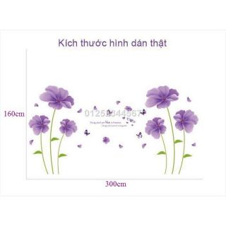 Decal dán tường hoa tigon có keo sẵn