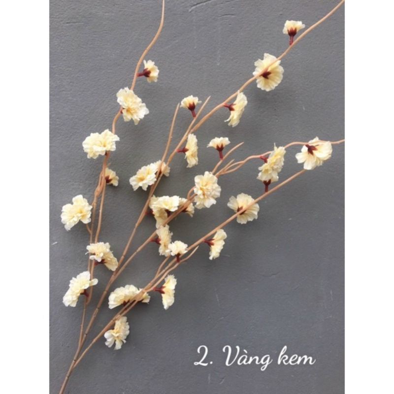 Hoa giả - hoa đào râu