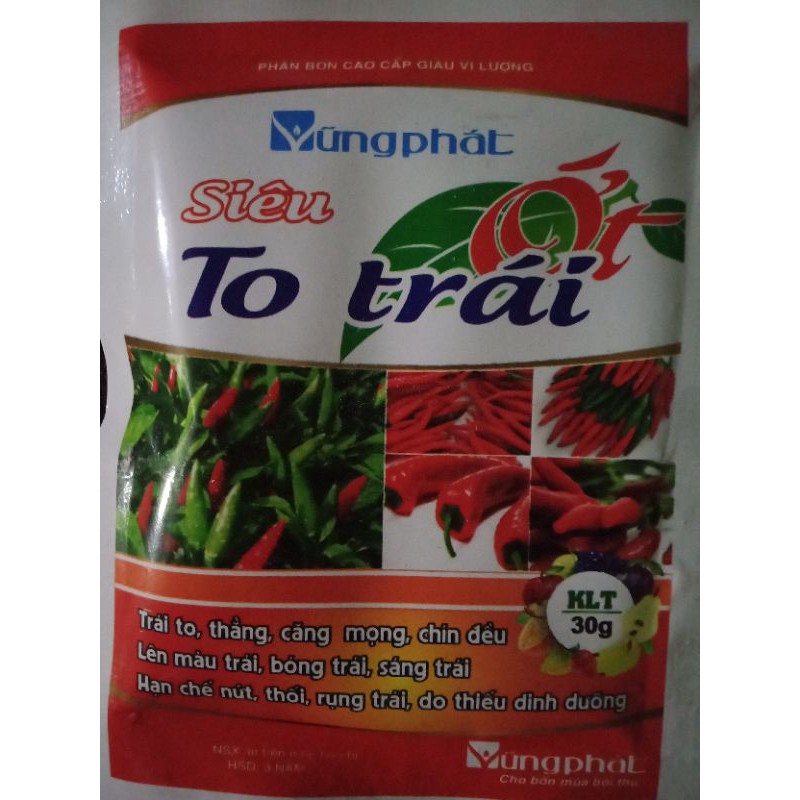 SIÊU TO TRÁI CHUYÊN ỚT.NHANH CHÍN ĐỒNG ĐỀU KHÔNG CONG VẸO QUẢ