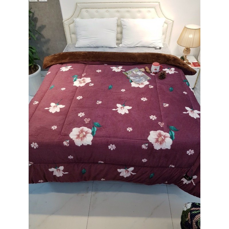 Chăn Lông Cừu LASANTE