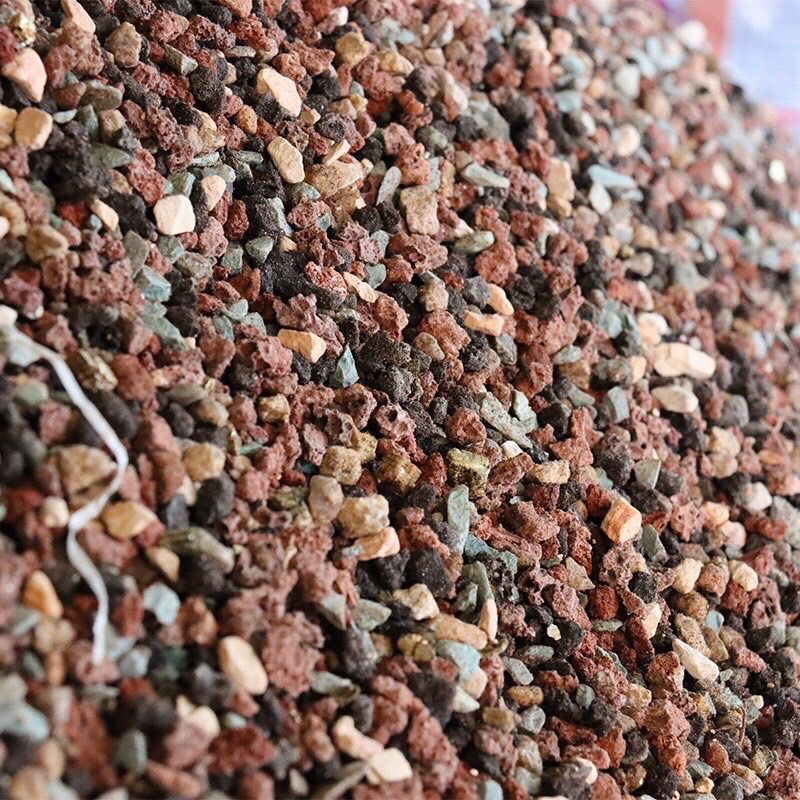Đá cầu vồng-đá giữ màu ổn định, phom cho sen đá, xương rồng,cây mọng nước