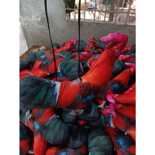 gà giả tập lực