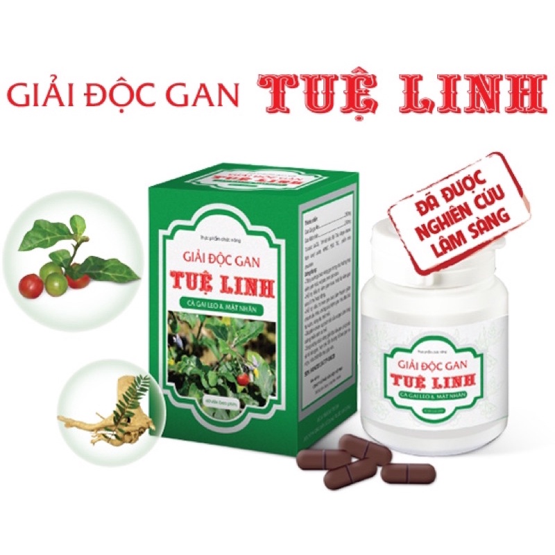 ✅ Giải Độc Gan Tuệ Linh - Từ cà gai leo & mật nhân – Giúp tăng cường chức năng gan, hạ men gan