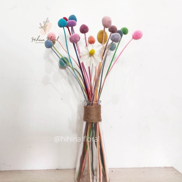 Hoa Khô Billy Ball Cúc Nút Áo Khô Decor Trang Trí, Chụp Ảnh Sản Phẩm
