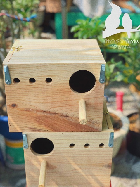 Tổ đẻ vẹt Lovebird (Vẹt tình yêu) mẫu cơ bản.