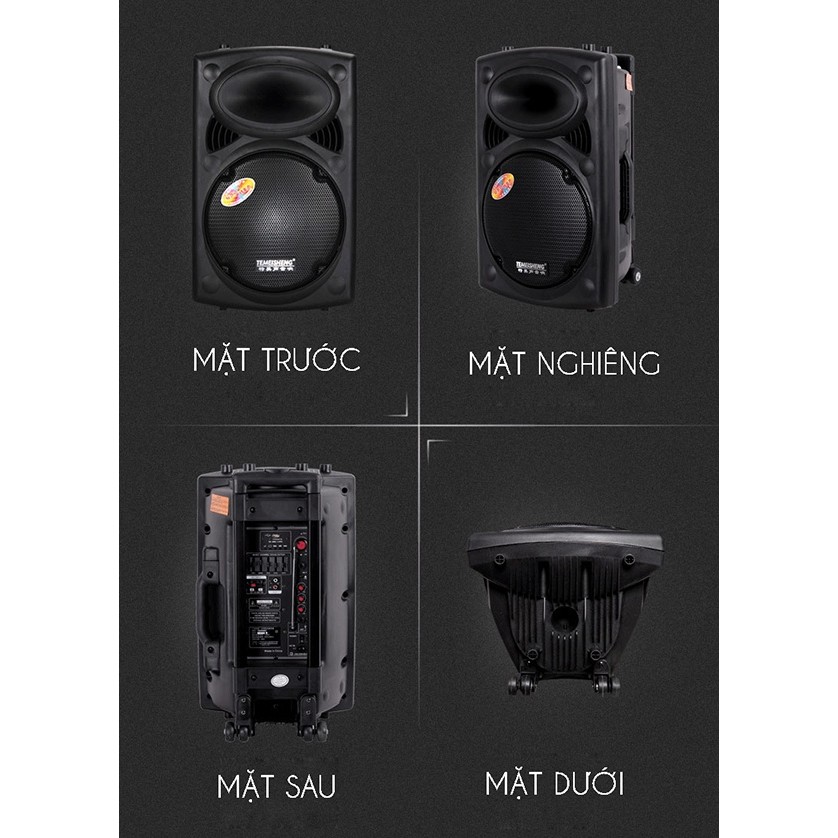 Loa Kéo Temeisheng 297 loa bass siêu trầu