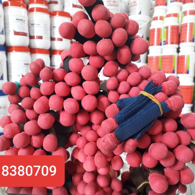 Bịt cựa loại thường  dành cho gà nòi. 1 cặp 2 con gà