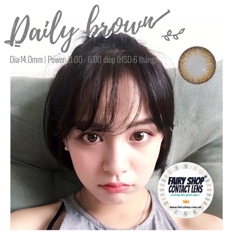 Kính Áp Tròng Daily Brown 14.0mm - Kính Áp Tròng Hàn Quốc FAIRY SHOP CONTACT LENS - độ cận 0 đến 8