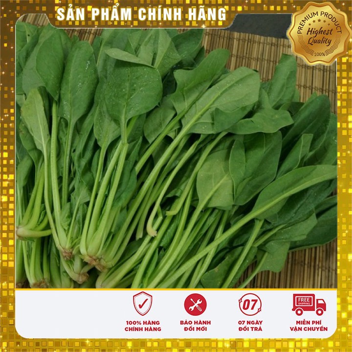 Hạt Giống Rau Chân vịt ( bina) gói 20 gram