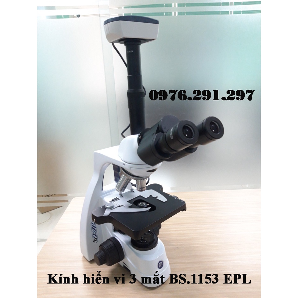 Kính hiển vi 3 mắt kết nối máy tính BS 1153 EPL Euromex Hà Lan