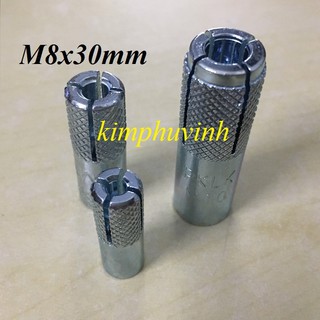 20 con - M8X30mm TẮC KÊ ĐẠN - NỞ ĐẠN