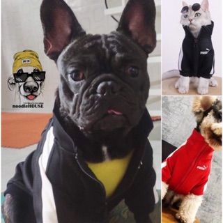 Áo thể thao thú cưng Puma (cao cấp) [QUẦN ÁO THÚ CƯNG]