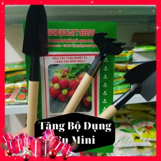 Hạt Giống Dâu Tây Chịu Nhiệt F1-[ ]