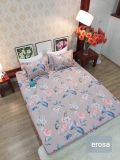 Bộ ga chun cotton Hàn Quốc 1,6*2m