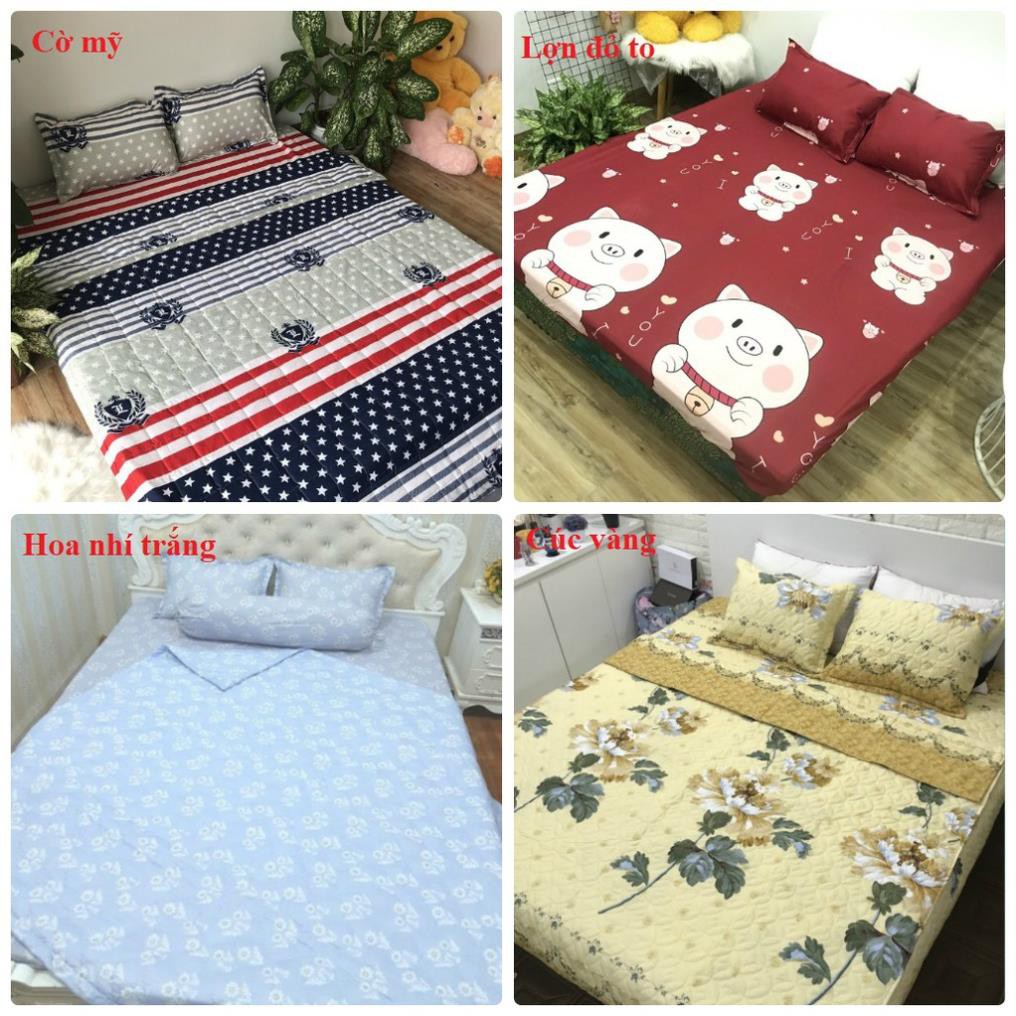 Ga Goi HCM Chăn hè Poly Cotton - nhiều mẫu lựa chọn