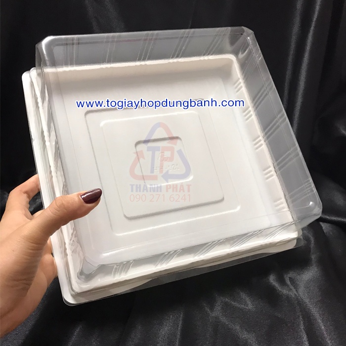 10 Hộp H121 đựng 4 bánh rau câu 3D - đựng cá chép 23cm - đựng 4 cái bánh tròn 10cm