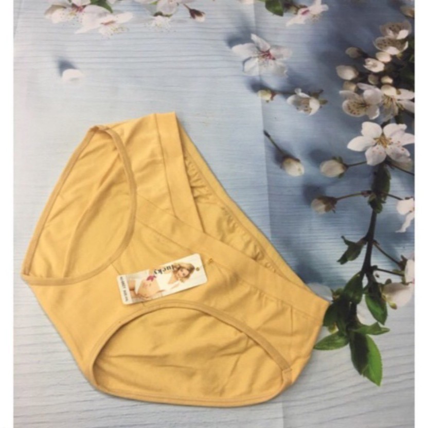 SET 10 Quần lót bầu cạp chéo nâng bụng cotton thấm hút mồ hôi (sỉ)