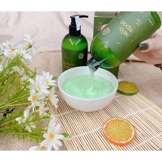 DẦU GỘI BƯỞI VIJULLY