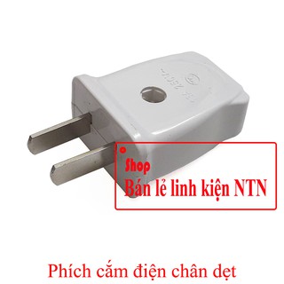 Phích cắm điện chân dẹt