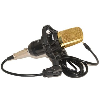 MIC THU ÂM BM 800