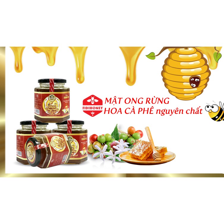 Combo 4 lọ mật ong FidiHoney hoa cafe (500gr/lọ) tặng 3 chai mật ong FidiHoney hoa rừng (470gr /chai)