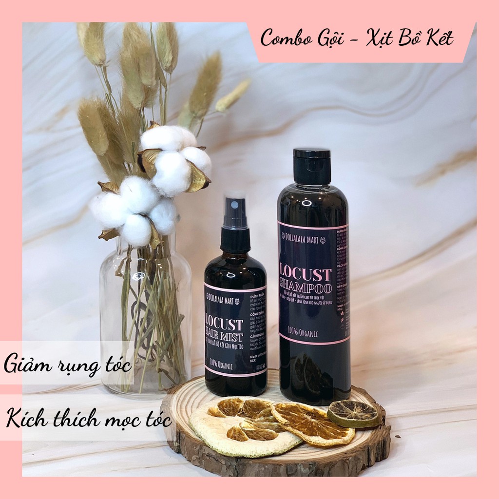 Combo Gội - Xịt tinh chất Bồ Kết giúp mọc tóc, ngăn ngừa gãy rụng - Dollalala Mart