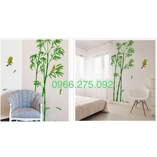 Decal dán tường Tre xanh