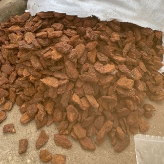 1kg vỏ thông trồng lan