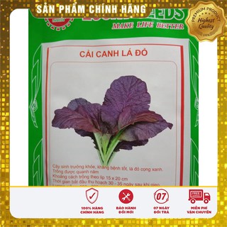Hạt giống cải canh lá đỏ