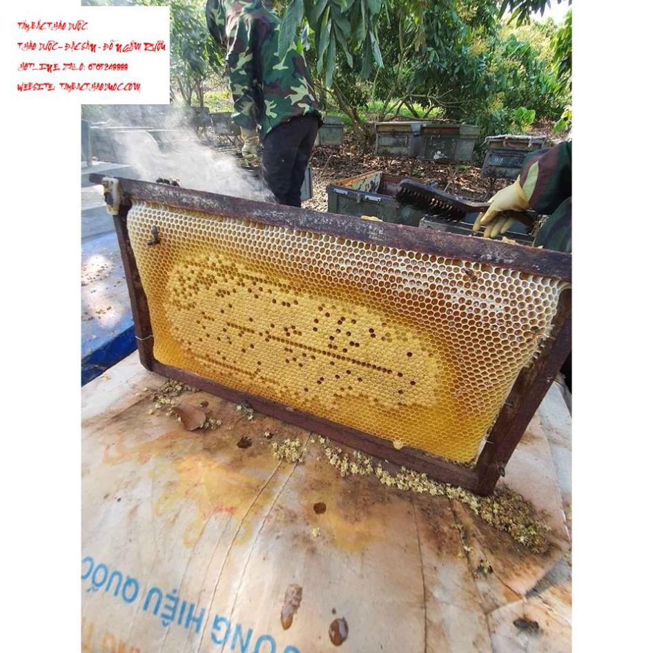 Mật ong hoa nhãn nguyên chất 100% Tây Bắc - Sơn La