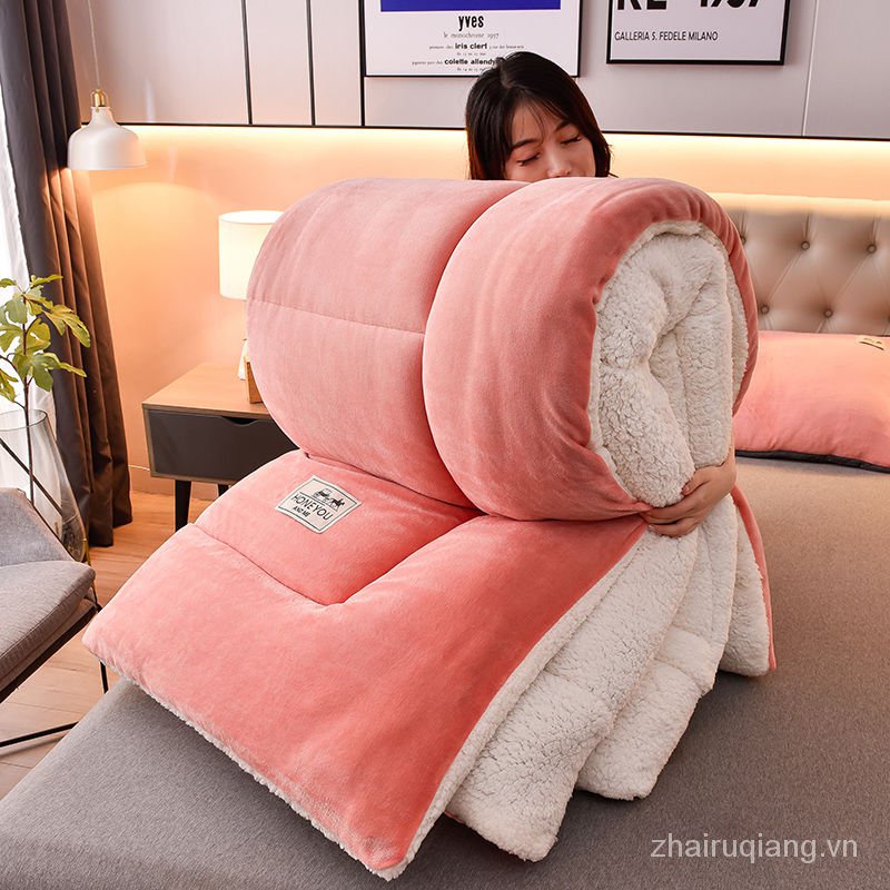 Chăn cotton phối lông cừu dày dặn giữ ấm mùa thu đông nhiều màu sắc tùy chọn