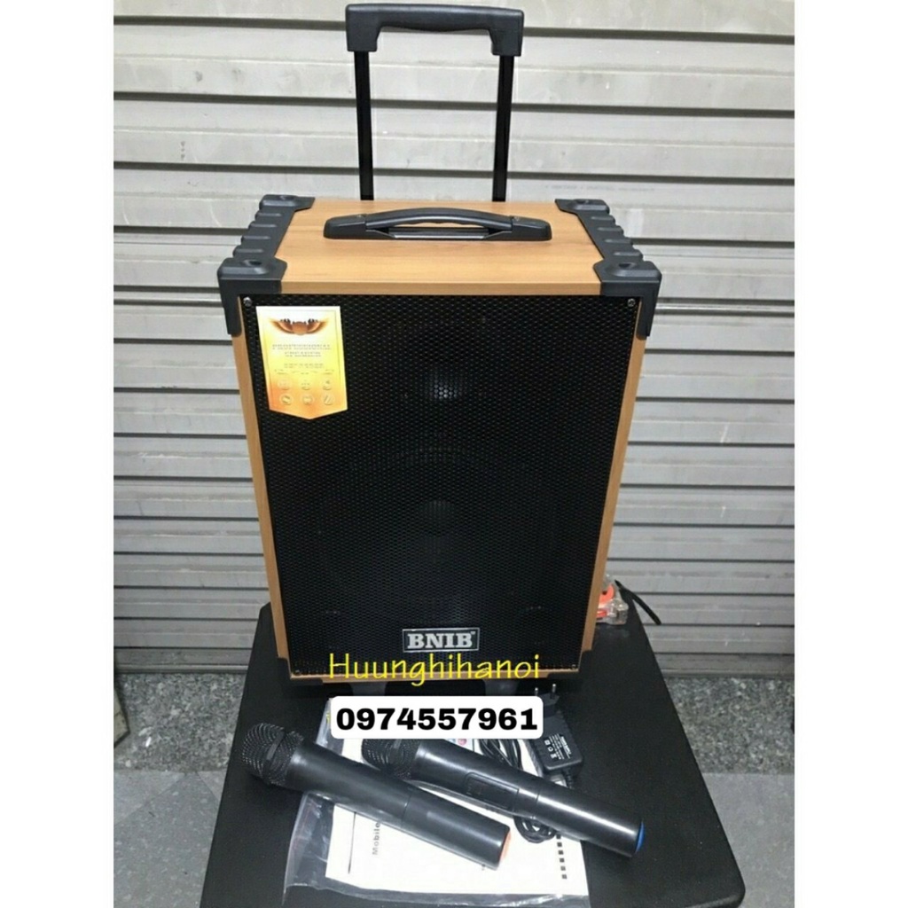 Loa kéo karaoke bluetooth giá rẻ BNIB T8 mini bass 2 tấc Loa kẹo kéo di động thùng gỗ